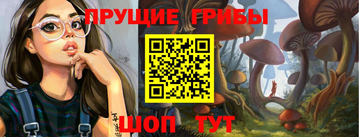 Псилоцибиновые грибы мицелий Зеленодольск